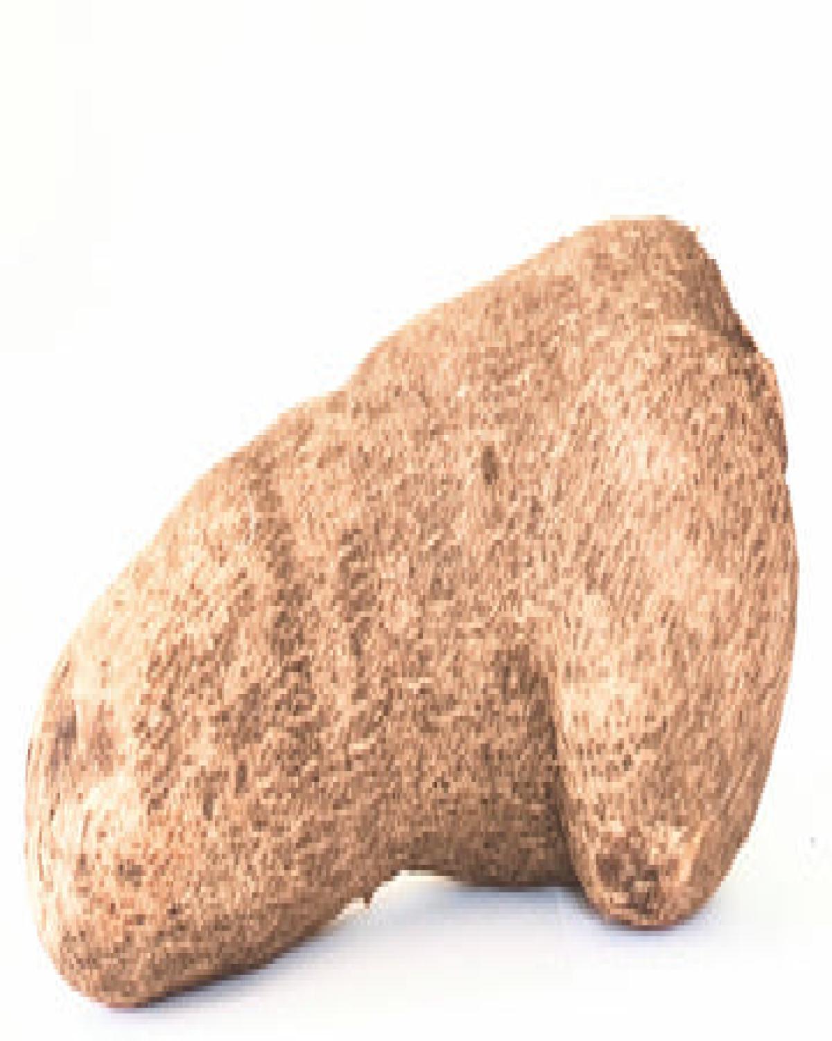 Yam