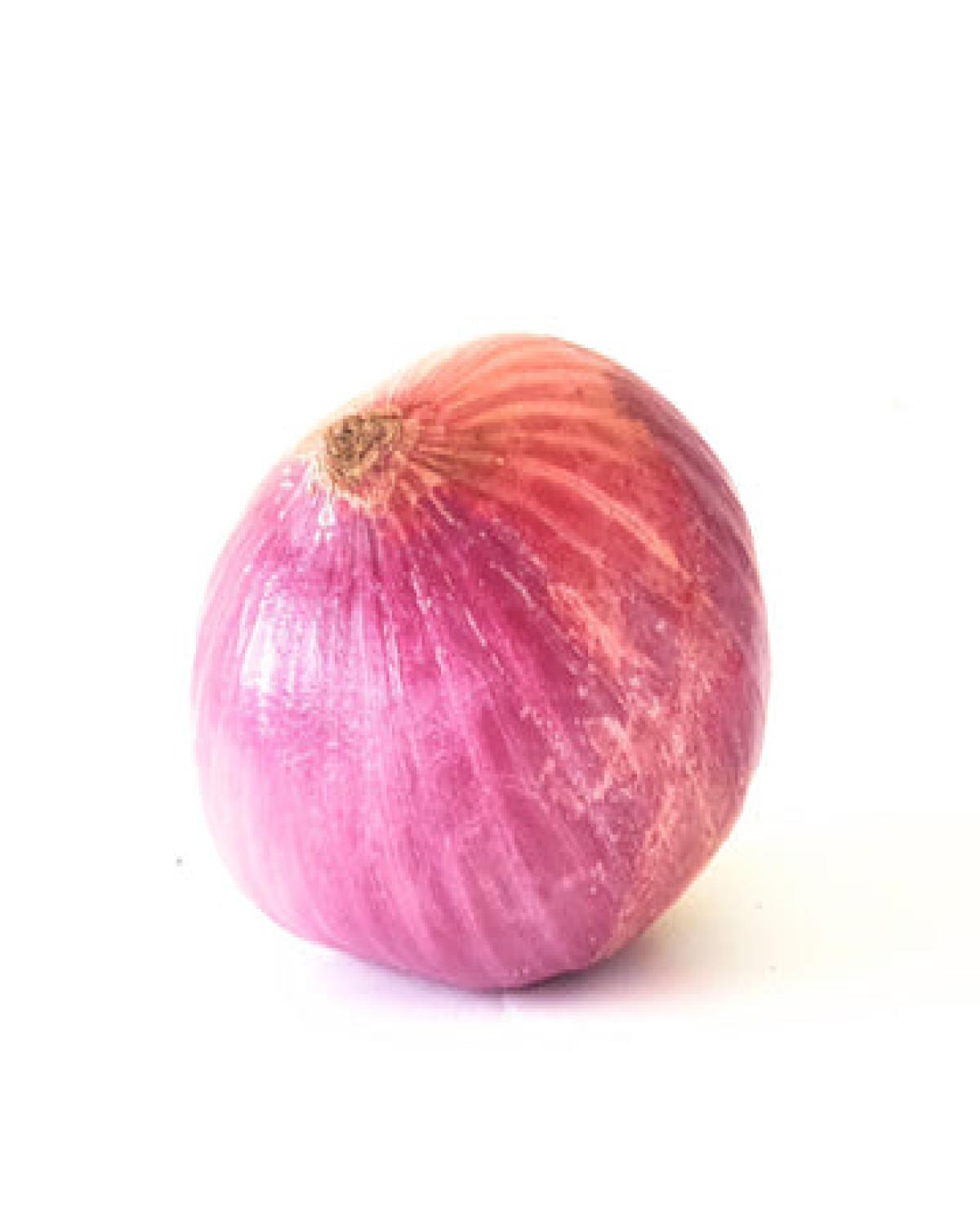 Onion