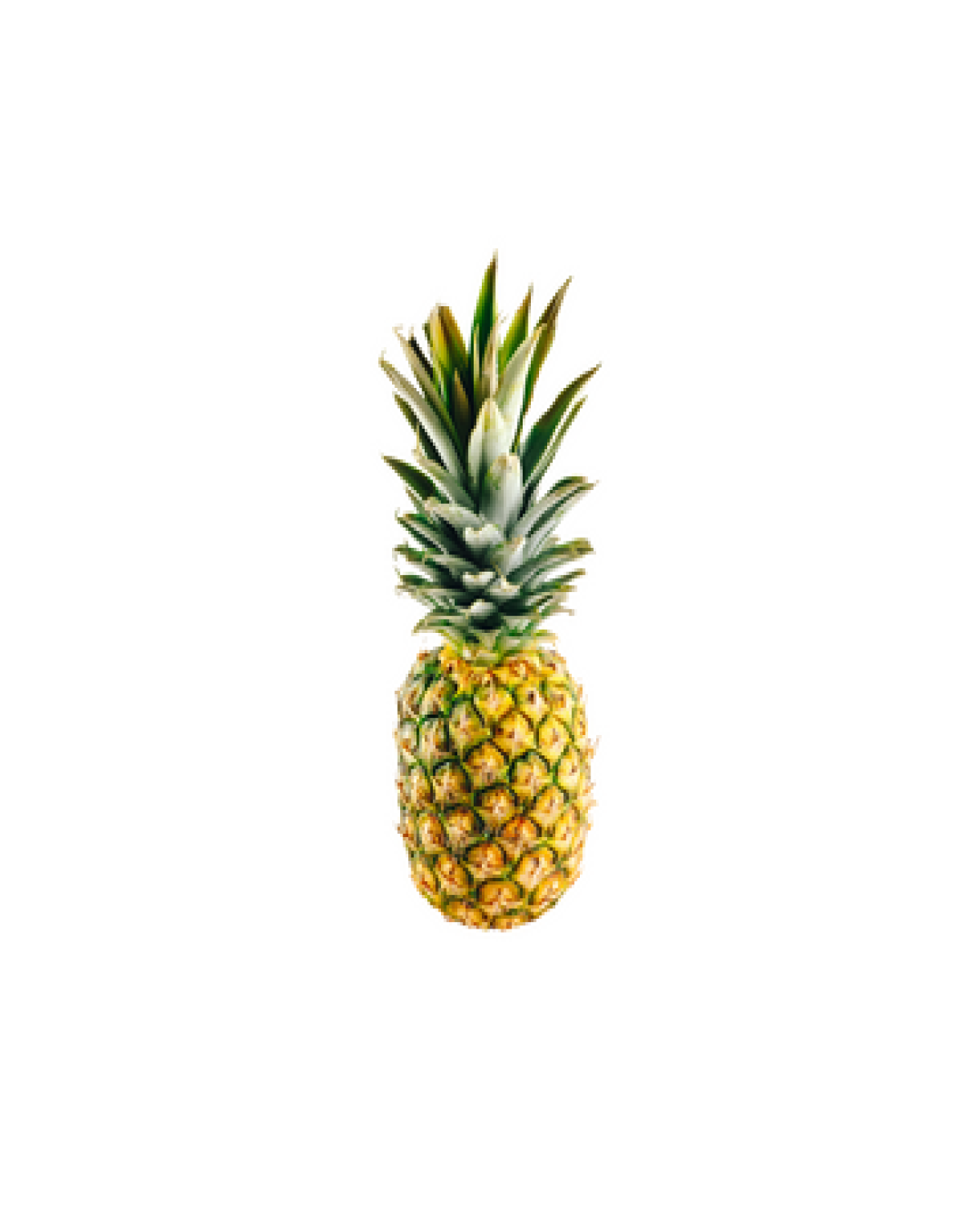 Pine Apple